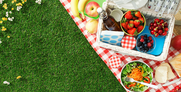 Vitality Blog 4 Conseils Pour Des Pique Niques Bons Et Plus Verts