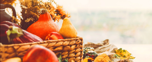 Vitality Blog Quels Sont Les Produits De Saison En Automne